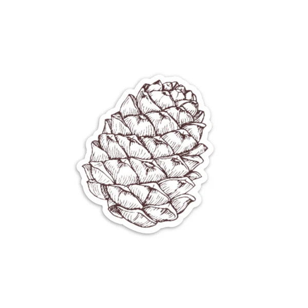 Pine Cone - Decal