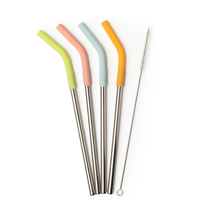 Stainless Steel Straw Set + Cleaner