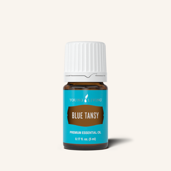 Blue Tansy Essential Oil - 5 ml