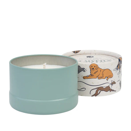 Odor Neutralizing Candle | Eucalyptus + Mint