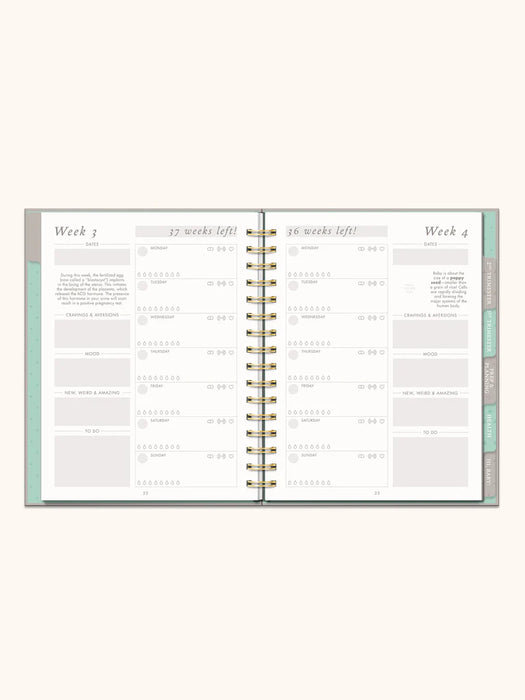 Countdown to Baby | Pregnancy Planner + Journal