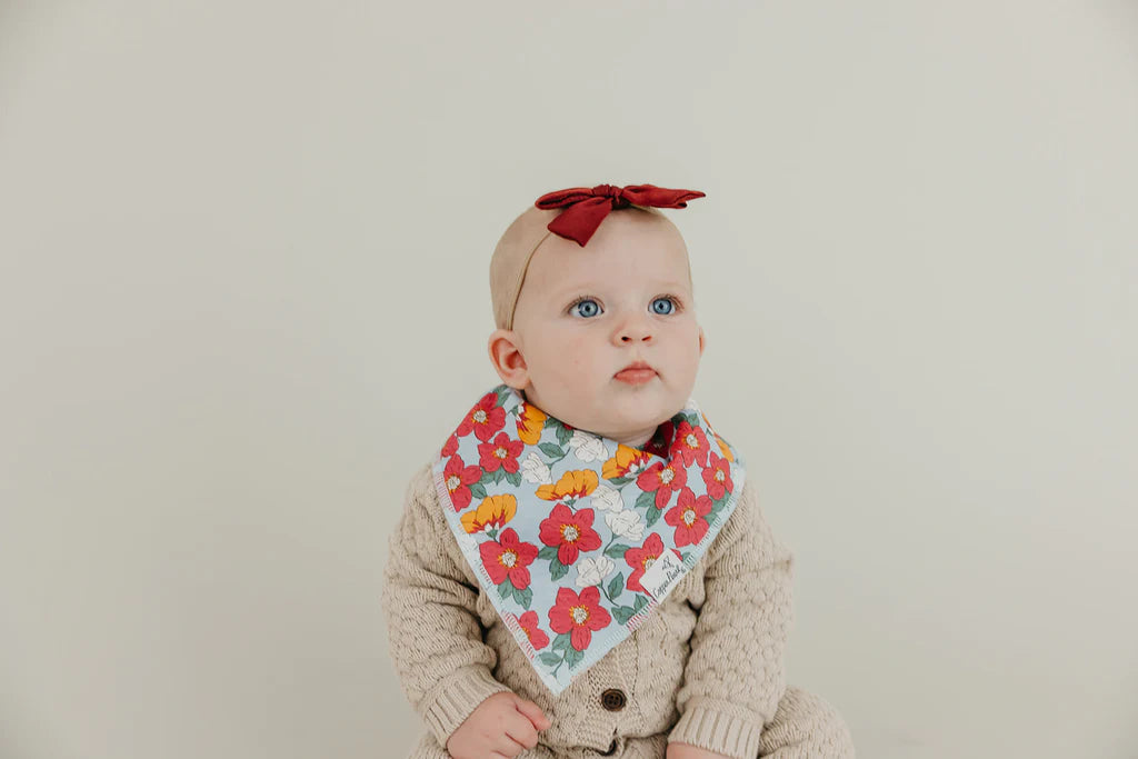 Baby Bandana Bibs - Ivy