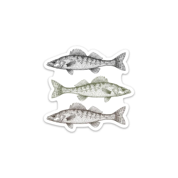 Natural Walleye - Decal