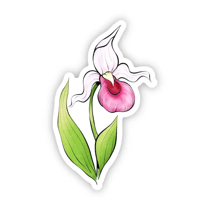 Hand Drawn Lady Slipper | Decal