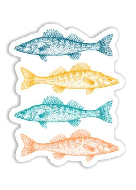 Colorful Walleye - Decal