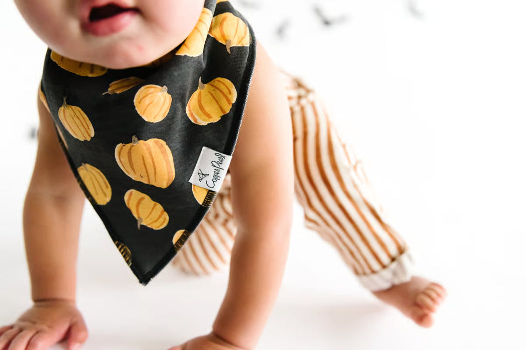 Baby Bandana Bibs - Patch Set