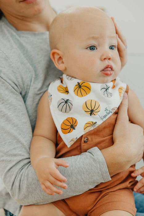 Baby Bandana Bibs - Karver Set