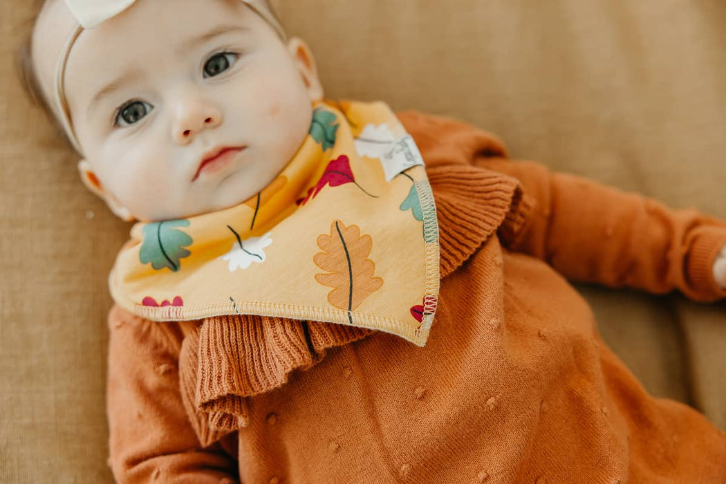 Baby Bandana Bibs - Karver Set