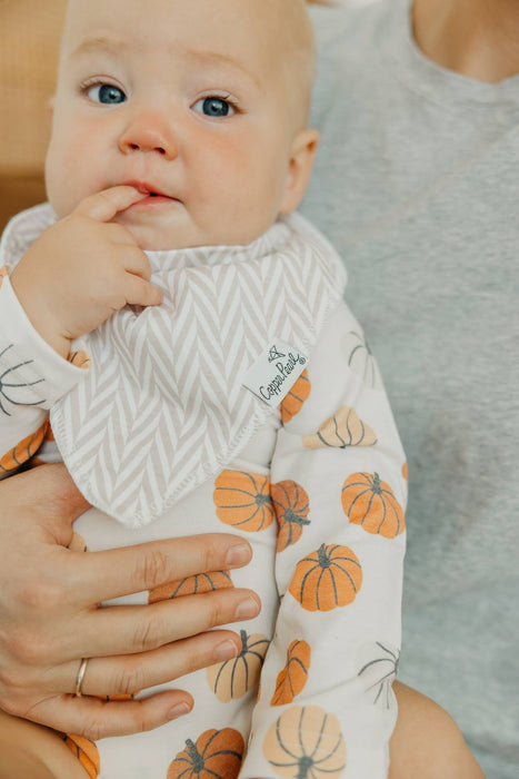 Baby Bandana Bibs - Karver Set