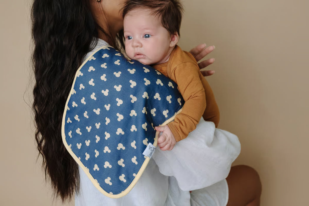 Mickey Mouse & Friends Burp Cloths