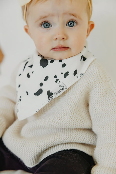 Baby Bandana Bibs - Rufus Set