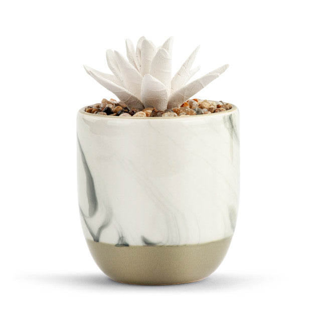 Keep Growing | Essential Oil Diffuser Succulent