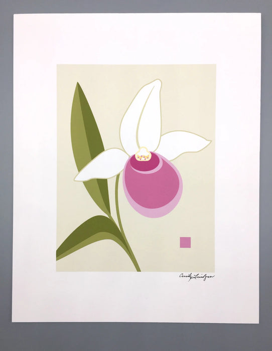 Lady Slipper | 8x10 Print