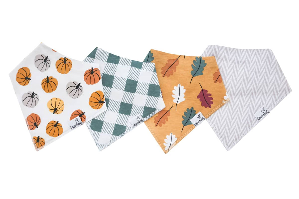 Baby Bandana Bibs - Karver Set