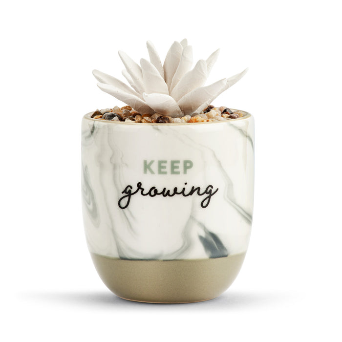 Keep Growing | Essential Oil Diffuser Succulent