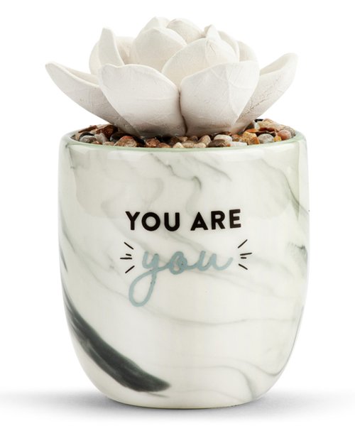 You Are You | Essential Oil Diffuser Succulent
