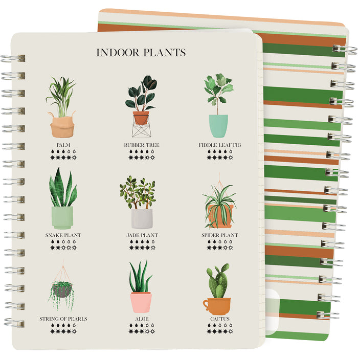 indoor plants guide Indoor Plant Guide