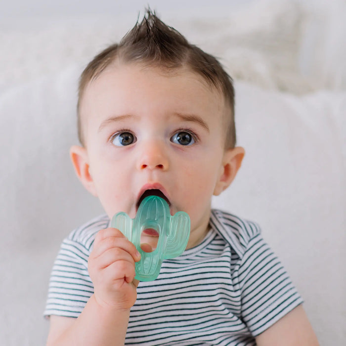 Cutie Coolers Cactus Teethers