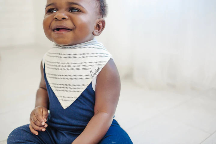 Baby Bandana Bibs - Chip