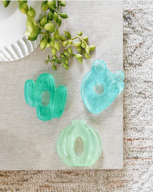 Cutie Coolers Cactus Teethers