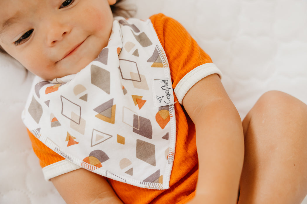 Baby Bandana Bibs - Swift