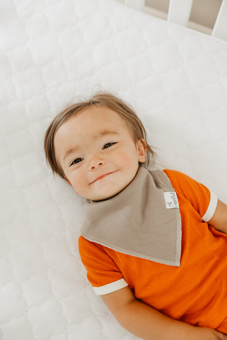 Baby Bandana Bibs - Swift