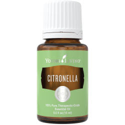 Citronella Essential Oil - 15 ml