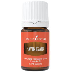 Ravintsara Essential Oil - 5ml