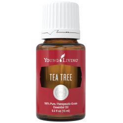 Tea Tree (Melaleuca Alternifolia) - 15 ml