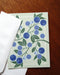 blueberries with envelope