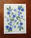 blueberries note card