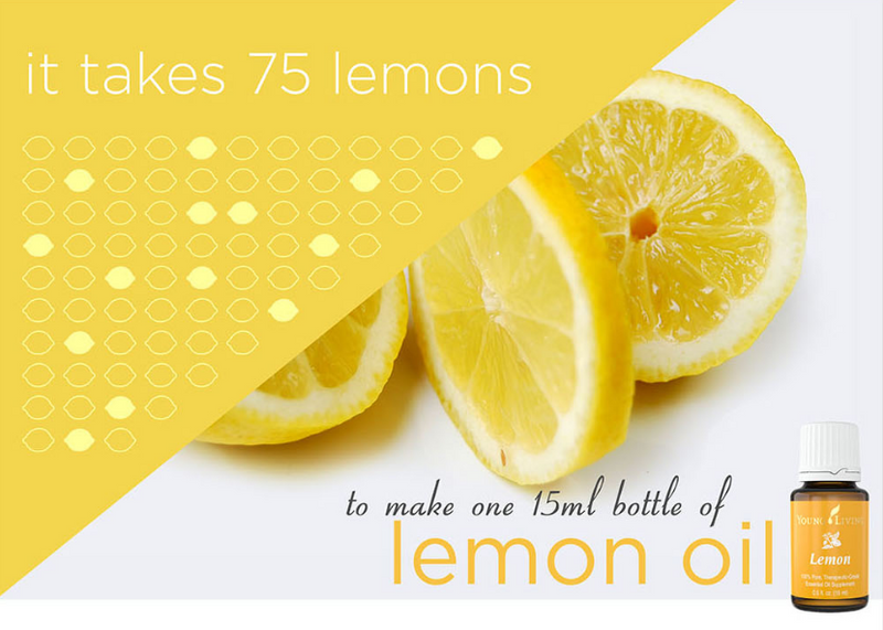 Lemon Essential Oil - 15 ml | Compass Rose