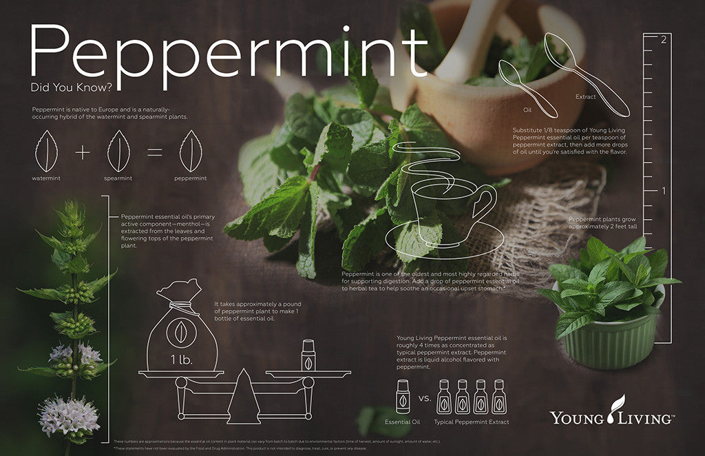 Peppermint Essential Oil - 15 ml